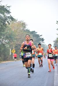 BIB: 47841
                            <button type="button" onclick="openModal(10134808)" class="btn btn-primary btn-sm float-right btn-popup" data-toggle="modal" data-target=".modal-high-quality">
                        <i class="fas fa-shopping-cart"></i> Add to Cart
                    </button>
                                            <button type="button" onclick="isThisMe(10134808, true)" class="btn btn-success btn-sm float-right btn-popup btn-isme hidden" data-toggle="tooltip" data-placement="bottom" title="นี่คือรูปของคุณใช่ไหม คลิกที่นี่เพื่อเอาเข้าอัลบั้ม">
                        <i class="fas fa-plus"></i> Add to album
                    </button>
                    <button type="button" onclick="isThisMe(10134808, false)" class="btn btn-warning btn-sm float-right btn-popup btn-isnotme hidden">
                        <i class="fas fa-ban"></i> Remove from album
                    </button>
